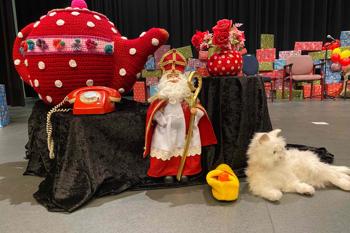 Sinterklaas is jarig! Speel je mee?
